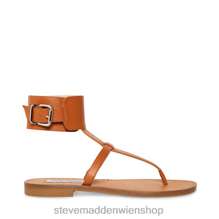 Steve Madden Frauen Rico braunes Leder Schuhwerk 88L08124