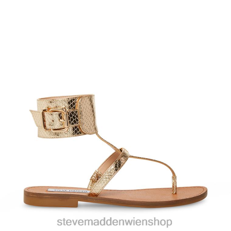 Steve Madden Frauen Rico goldene Schlange Schuhwerk 88L0840