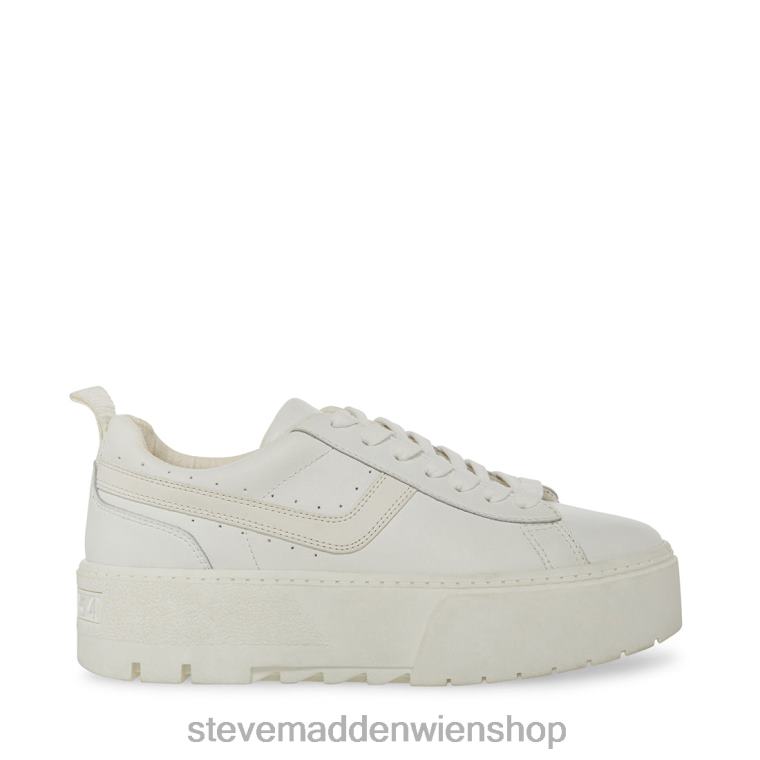 Steve Madden Frauen Rorri weißes Leder Schuhwerk 88L08317